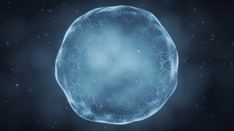 生物科技医疗应用：揭秘如何选择可靠的厂家**