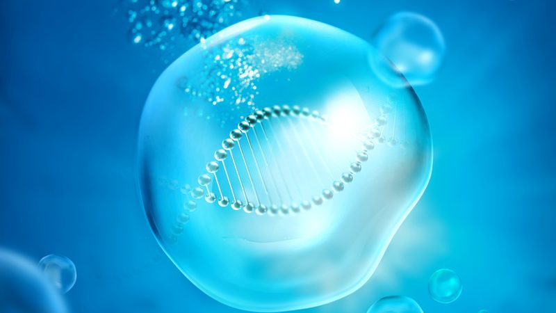 首先，我们需要分析离心力不足的原因。以下是几种常见的原因：