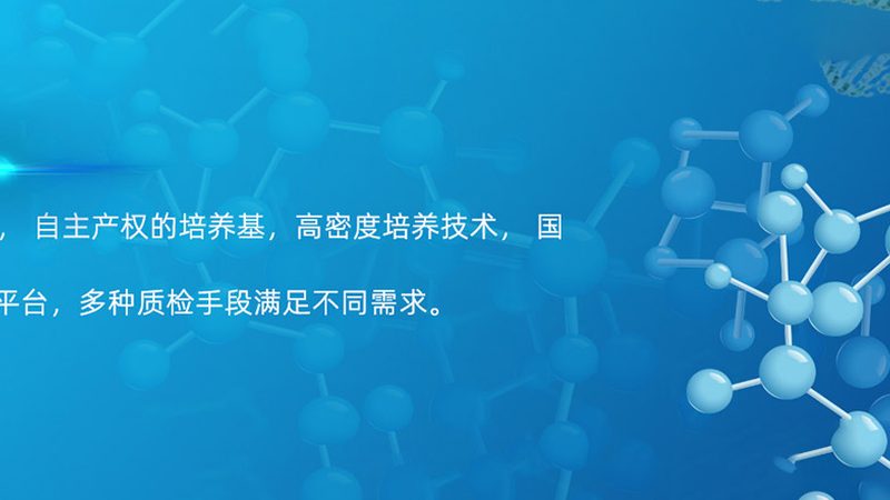CDMO生产厂家如何选择？揭秘背后的关键因素