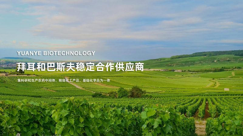 原料采购，如何确保质量与合规？**