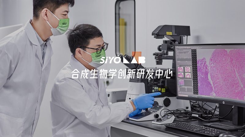 酶促反应：揭秘生物合成中的“催化剂”奥秘**