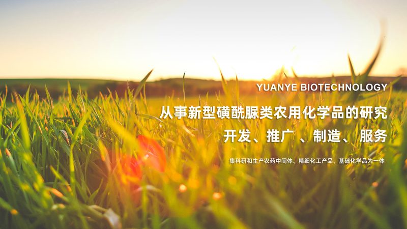 离心管，顾名思义，主要用于离心实验。它通常由塑料或玻璃制成，具有以下特点：
