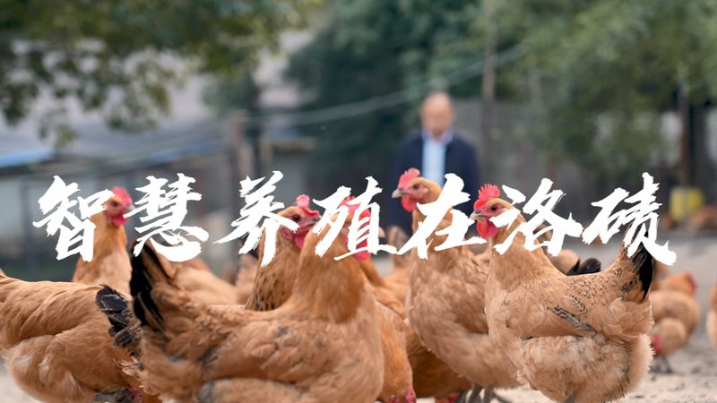实验室标准试剂：如何精准选择，助力科研品质**
