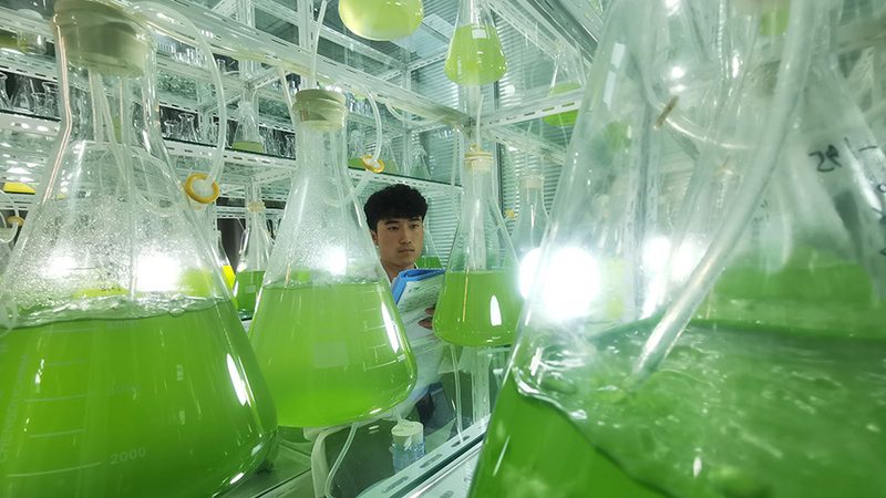 CRS优化参数设置：揭秘CRO高效运行的秘诀